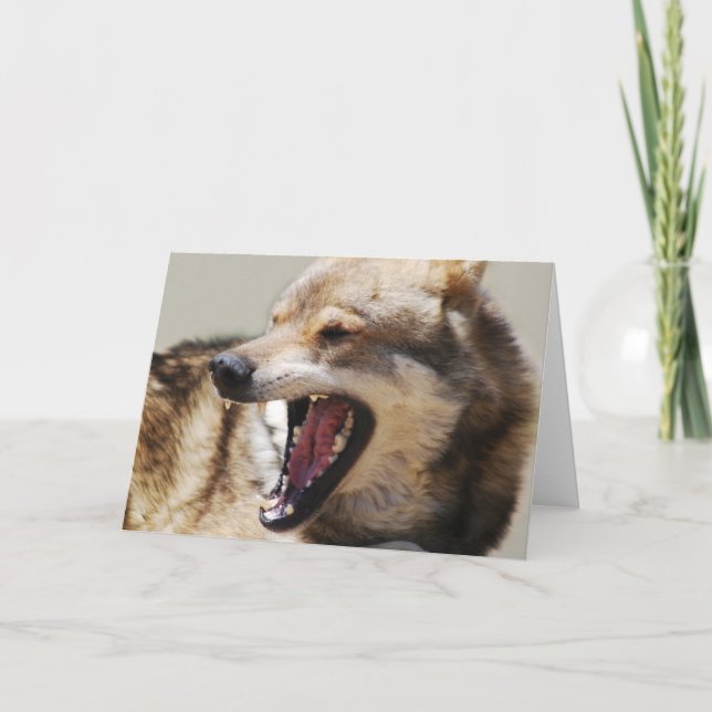 Wolf's Fangs Holiday Card (Front)