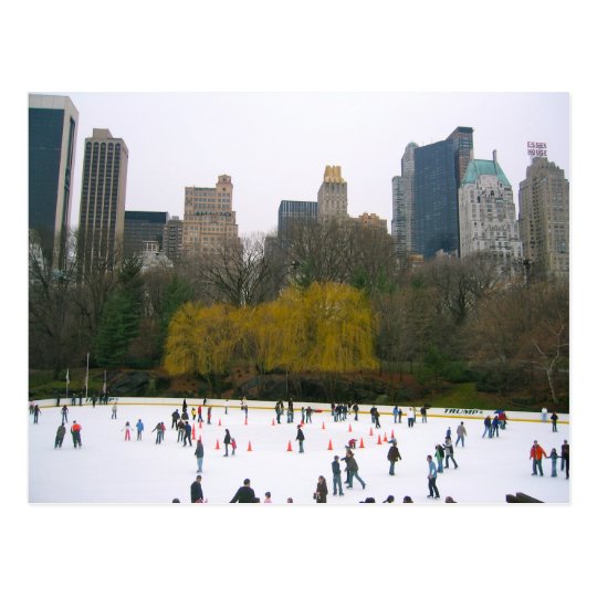 Wollman Ice Rink Central Park NYC New York City Postcard