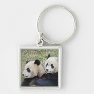 Wolong Reserve, China, Giant panda hugging Key Ring