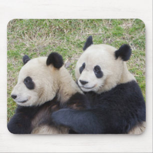 Wolong Reserve, China, Giant panda hugging Mouse Pad