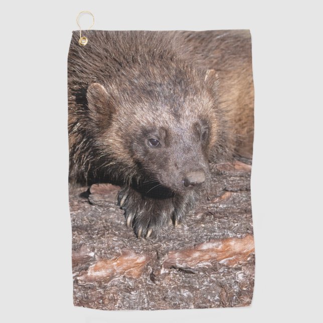 Wolverine Close Encounter Golf Towel (Front)