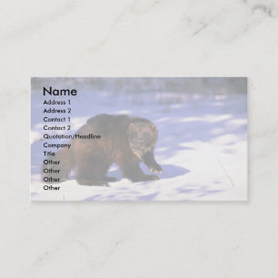 Wolverine on snow business card