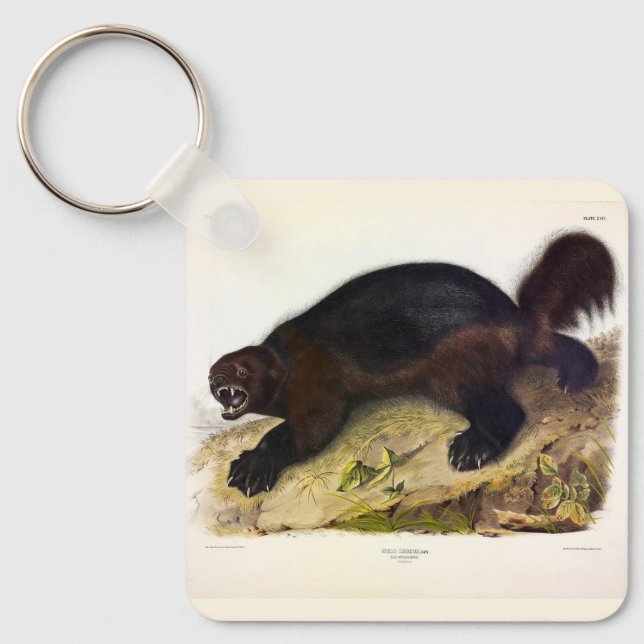 Wolverine or Wolverene (Gulo gulo) by Audubon Key Ring (Front)