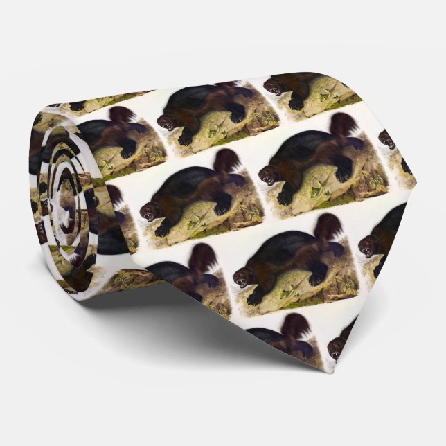 Wolverine or Wolverene (Gulo gulo) by Audubon Tie (Rolled)