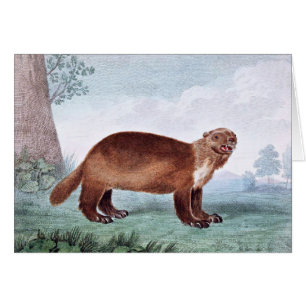 Wolverine vintage art