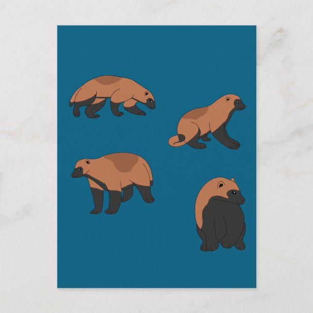 Wolverines  postcard (Front)