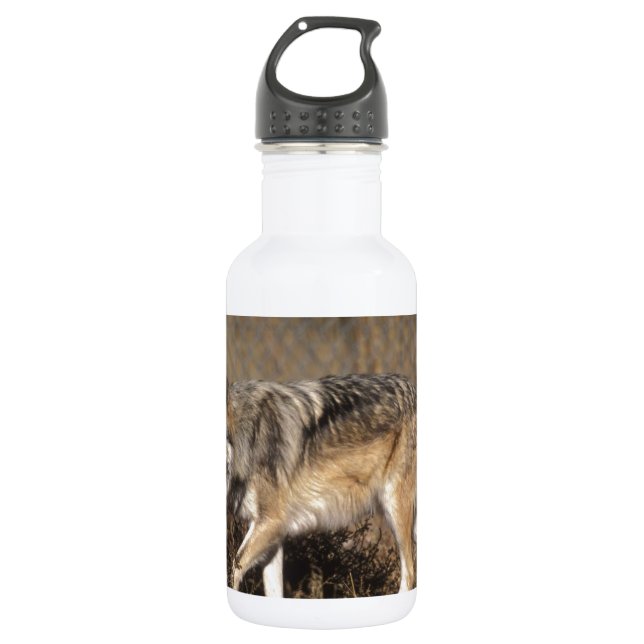 WOLVES 532 ML WATER BOTTLE (Front)
