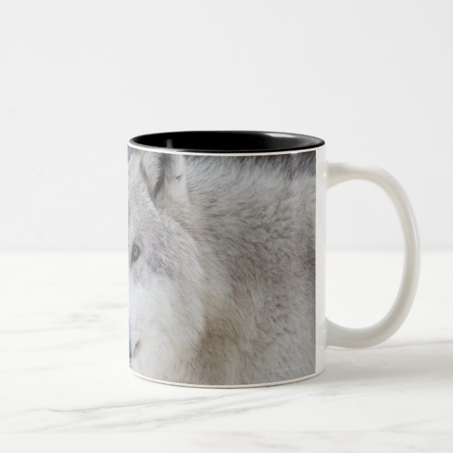 Wolves (Canus lupus) from West Yellowstone. This Two-Tone Coffee Mug (Right)