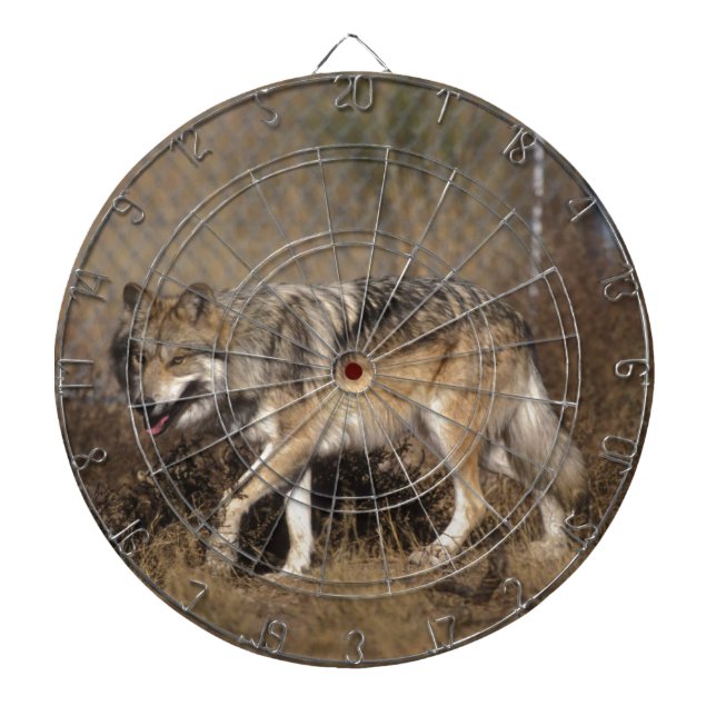 WOLVES DARTBOARD (Front)