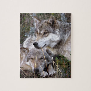 Wolves ~ Digital Oil Paining Jigsaw Puzzle
