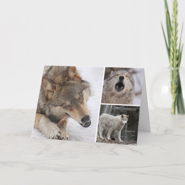 Wolves - Greeting Card - Blank Inside (Front)