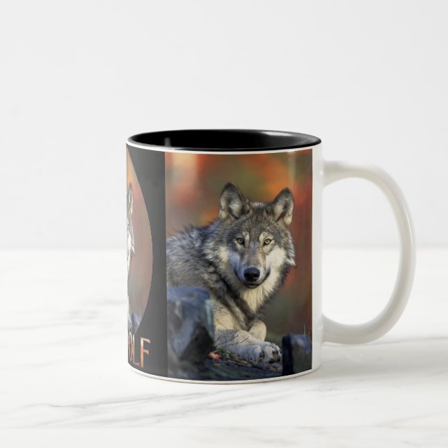 Wolves Grey Wolf Canis Lupis Two-Tone Coffee Mug (Right)