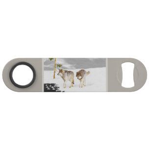 Wolves in Snow Painting - Original Wildlife Art