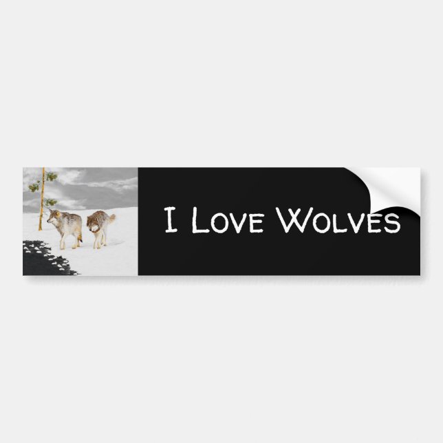 Wolves in Snow Painting - Original Wildlife Art Bumper Sticker (Front)