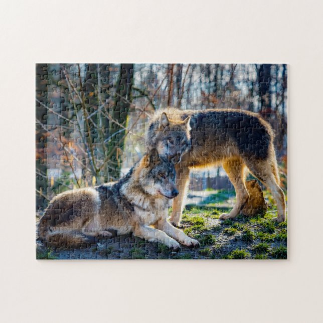 Wolves in the forest, Jigsaw Puzzle (Horizontal)