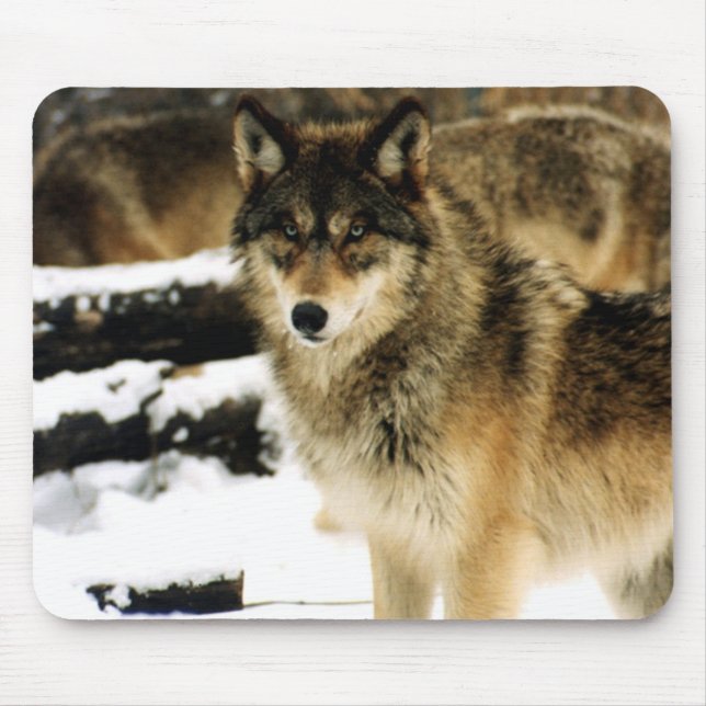 Wolves in The Snow Mouse Pad (Front)