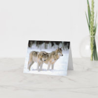 Wolves in the wilderness card