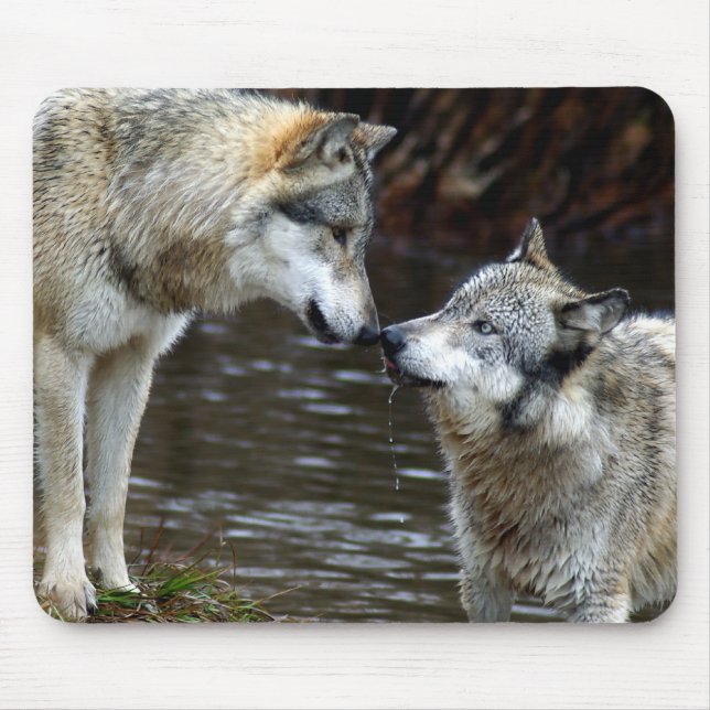 Wolves - Nose to Nose Mouse Pad (Front)