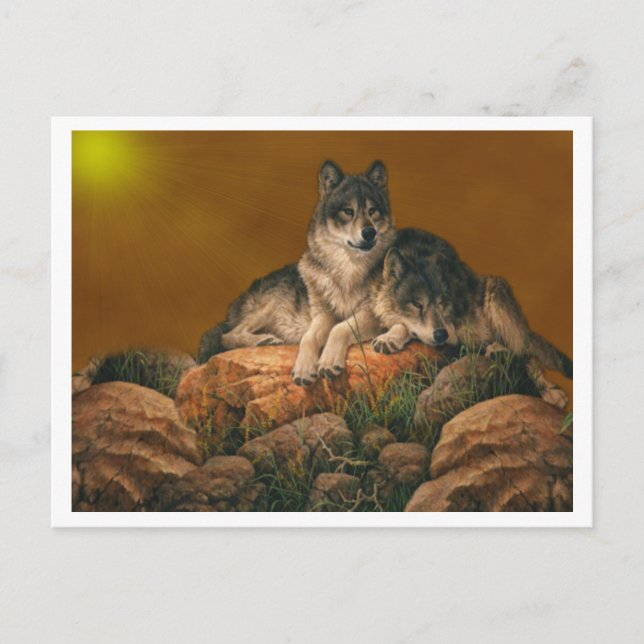 Wolves Postcard (Front)