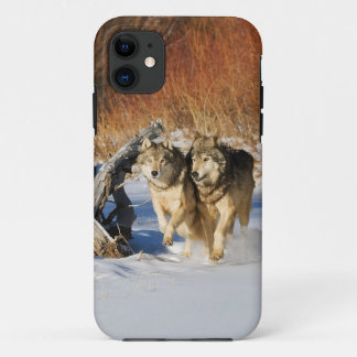 Wolves Running in Snow iPhone 4 Case