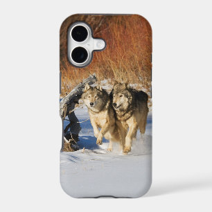 Wolves Running in Snow iPhone 4 Case