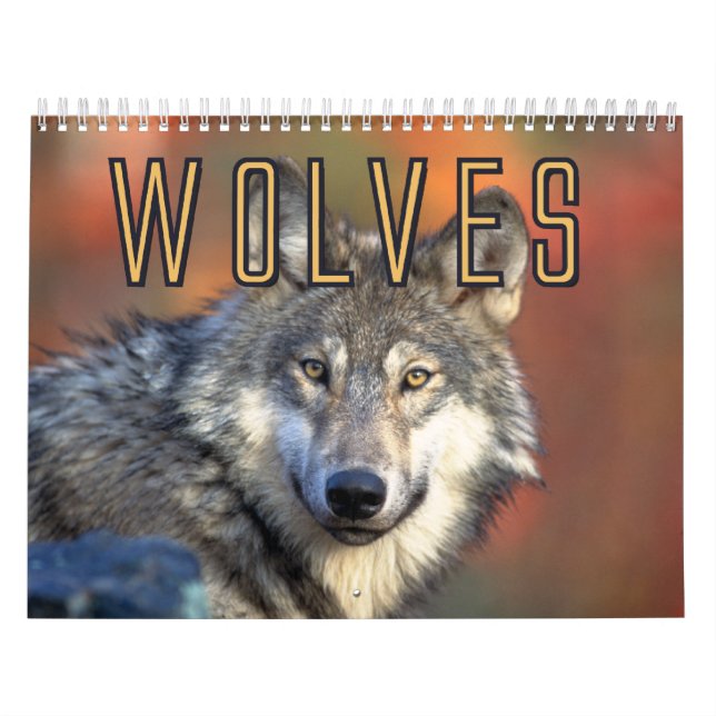 Wolves Wall Calendar (Cover)