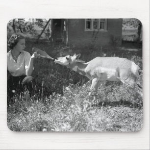 Woman bottle feeding an antelope. mouse pad