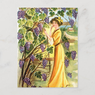Woman in the Vineyard Postcard