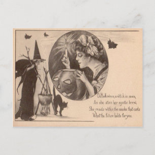 Woman Jack O' Lantern Witch Black Cat Postcard