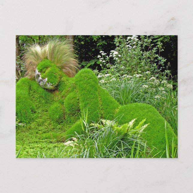 Woman of Grass Postcard (Front)