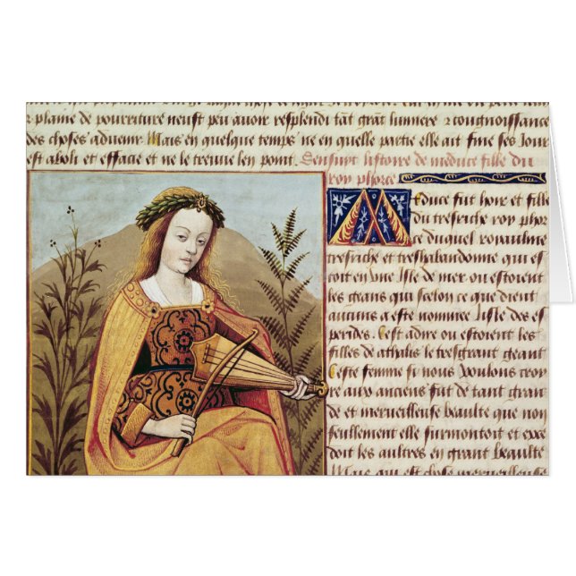 Woman playing a viol (Front Horizontal)