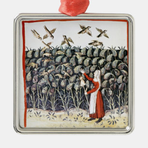 Woman Protecting her Crop of Millet Metal Ornament