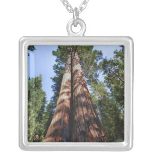 Woman videotaping at base of massive Sequoia Silver Plated Necklace