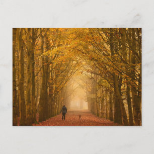 Woman walking with her dog in fall postcard