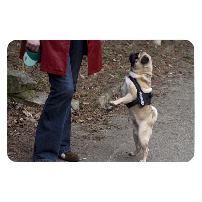 Womanizer Magnet (Horizontal)