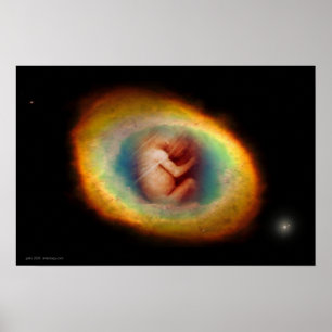Womb by Gregory Gallo Poster