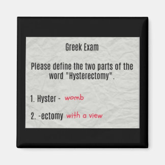 Womb With A View Hysterectomy Magnet