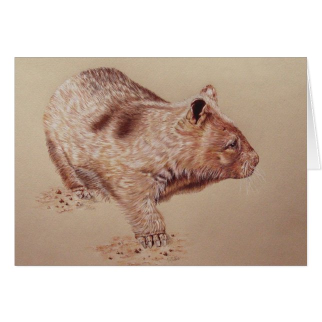 Wombat (Front Horizontal)