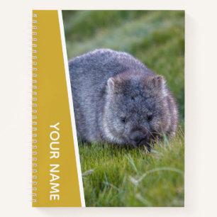 Wombat Australia Cute Animal, Gold Notebook