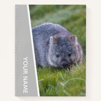 Wombat Australia Cute Animal, Silver Notebook