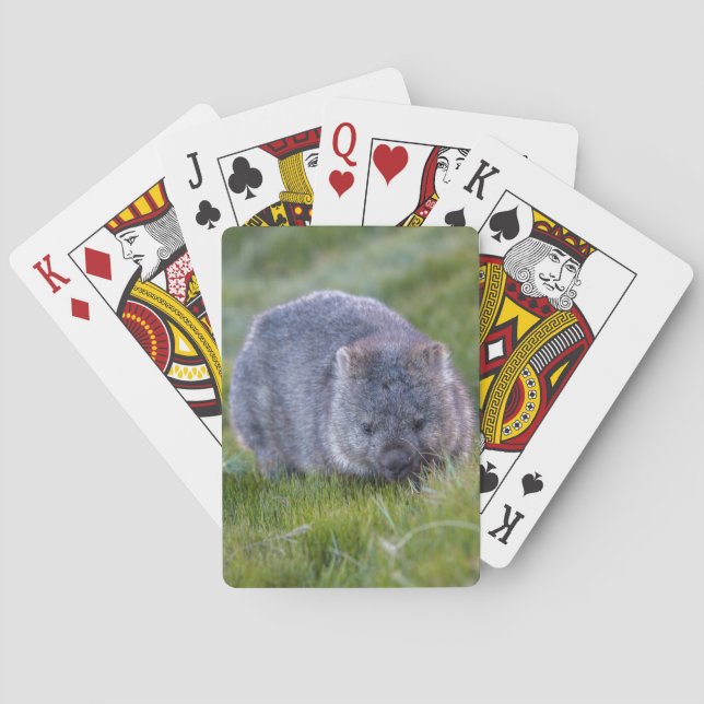 Wombat Australia Playing Cards (Back)