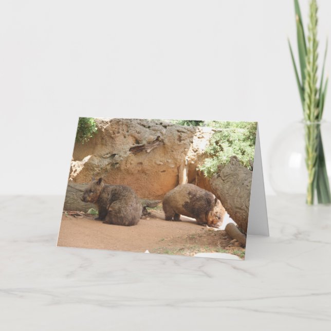 Wombat Heaven Card (Front)