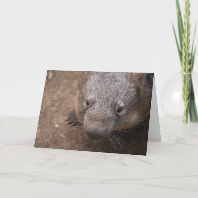 Wombat Kiss Card (Front)