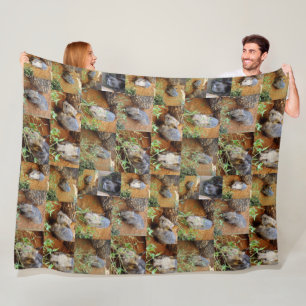 Wombat Photo Collage, Fleece Blanket