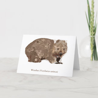 Wombat (Vombatus ursinus) Holiday Card