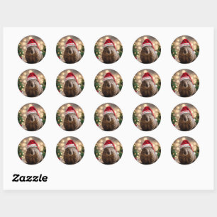 "Wombat Wonderland: A Cozy Christmas Eve" Classic Round Sticker