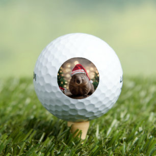 "Wombat Wonderland: A Cozy Christmas Eve" Golf Balls