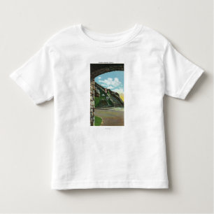 Women Descending Stairway from Summit Toddler T-Shirt