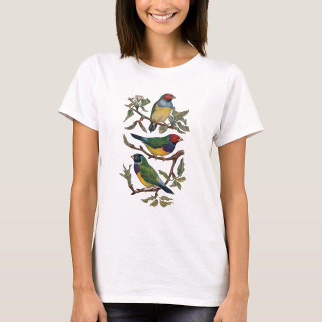 Women Girls T-Shirt Colourful Birds of a Feather (Front)