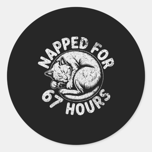 Women Napped For 67 Hours Funny Cat Lover Owner Gi Classic Round Sticker (Front)